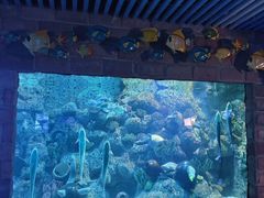 -左海海底世界