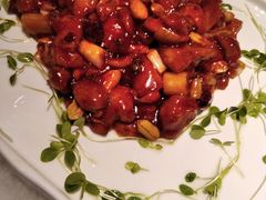 宫保鸡丁-聚京民福烤鸭店(木樨园店)