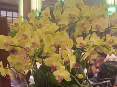 -蝶园·装修中(BFC外滩金融中心店)