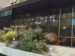 -苏帮袁Sue Cuisine(将台店)