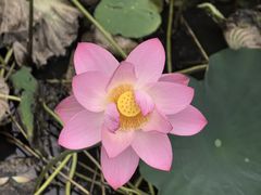 -金山公园