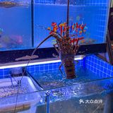 在杭州‼️打卡奥运冠军同款海鲜面，hoho吃🥰