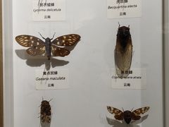 -中国湿地博物馆