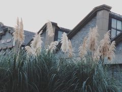 -凡德艺术街区