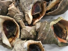 小海螺-沿海渔家院蒸汽海鲜·东北菜(东戴河店)