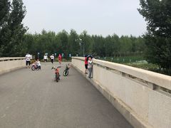 -东郊湿地公园