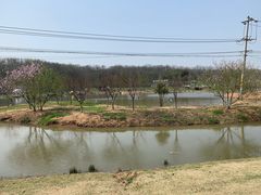 -南京珍珠泉风景区