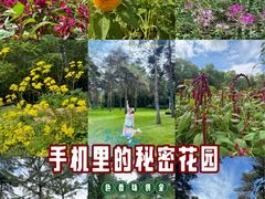 -黑龙江省森林植物园