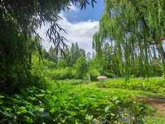 -百翠山居.家飨餐厅