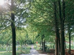 -营地公园·团建拓展·亲子户外(奉贤店)