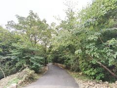 景点-大连天门山国家森林公园