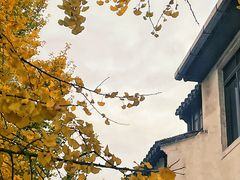 -山塘街