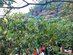 -枇杷园食为鲜火锅(南山店)