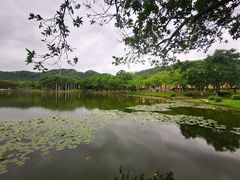 -北京师范大学(珠海校区)