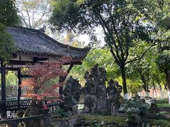 -老桂湖公园-杨升庵博物馆