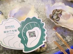 -囧吉香生蚝牛排馆(湖北路店)