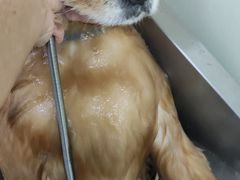 -爱侣宠医·鹦鹉专科·小型哺乳类·异宠专科(灵石路店)