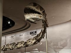 -自贡恐龙博物馆