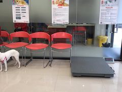 -艾贝尔宠物诊疗