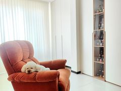 -LAZBOY美国乐至宝(真北红星店)