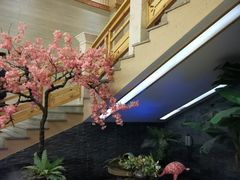-纽斯洗浴SPA(三墩店)