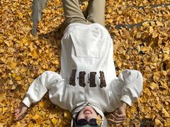 -洛阳白云山景区