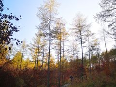 -本溪老边沟风景区