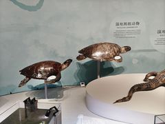 -中国湿地博物馆