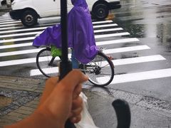 -锅贴大王南翔小笼(临沂二村店)