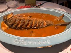 -阿五黄河大鲤鱼(英协路店)