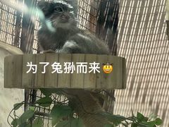 -青藏高原野生动物园