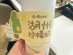 -猫的魔法密林(衣裳街店)