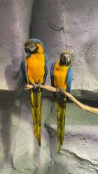 -Zoolung Zoolung动物主题公园(海信广场店)