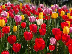 -海创大连科技交流中心(海事大学地铁站店)