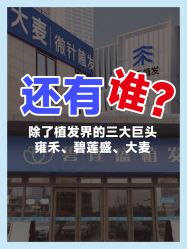 -大麦微针植发丨全国连锁