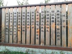 -空港花田景区