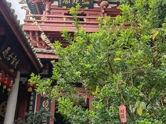 -叩齿古寺