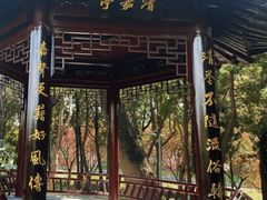-嘉定紫藤园