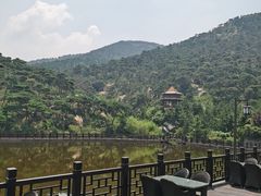 -徂徕山森林康养度假谷温泉