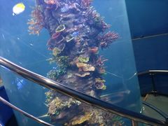 -西安曲江海洋极地公园