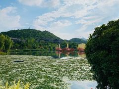 -青岩古镇