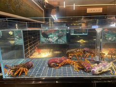 -璞御·海鲜·雪花牛肉局(宾水西道店)