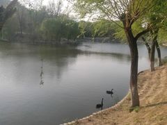 -石家庄市动物园