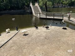 -石家庄市动物园