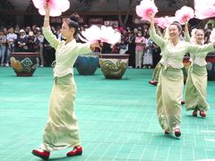-西双版纳原始森林公园