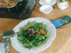 -新合益乡村农庄