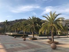 -厦门国家会计学院