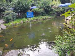 -望江楼公园