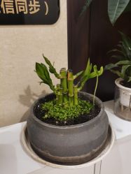 -ROYEA茹彦祛痘·问题肌肤修护中心