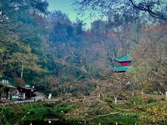 -岳麓山风景名胜区